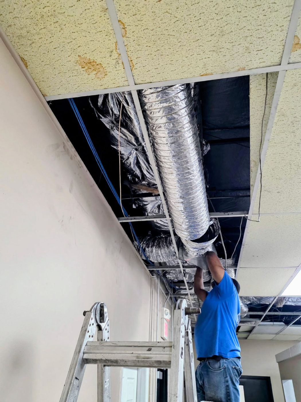 A technician on a ladder connecting foil-wrapped flexible duct above an open drop ceiling in an office